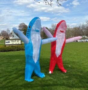 image of people dressed in shark costumes 
